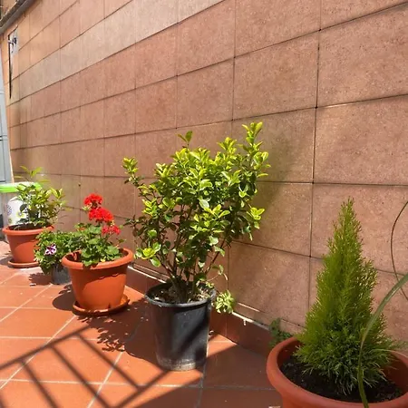 Casa Major * Maiori